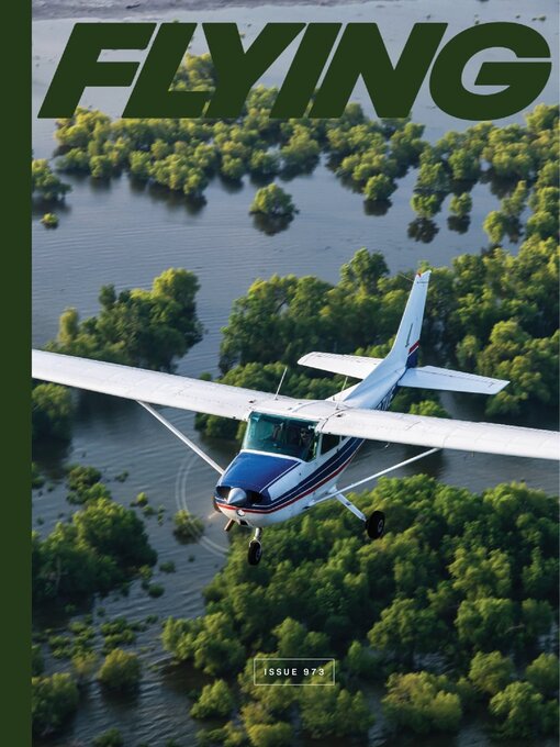 Cover image for Flying